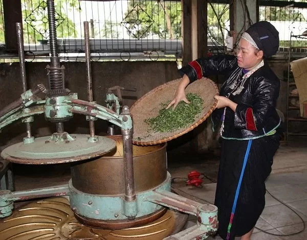 Vùng cao Xín Mần dệt giấc mơ nông nghiệp xanh