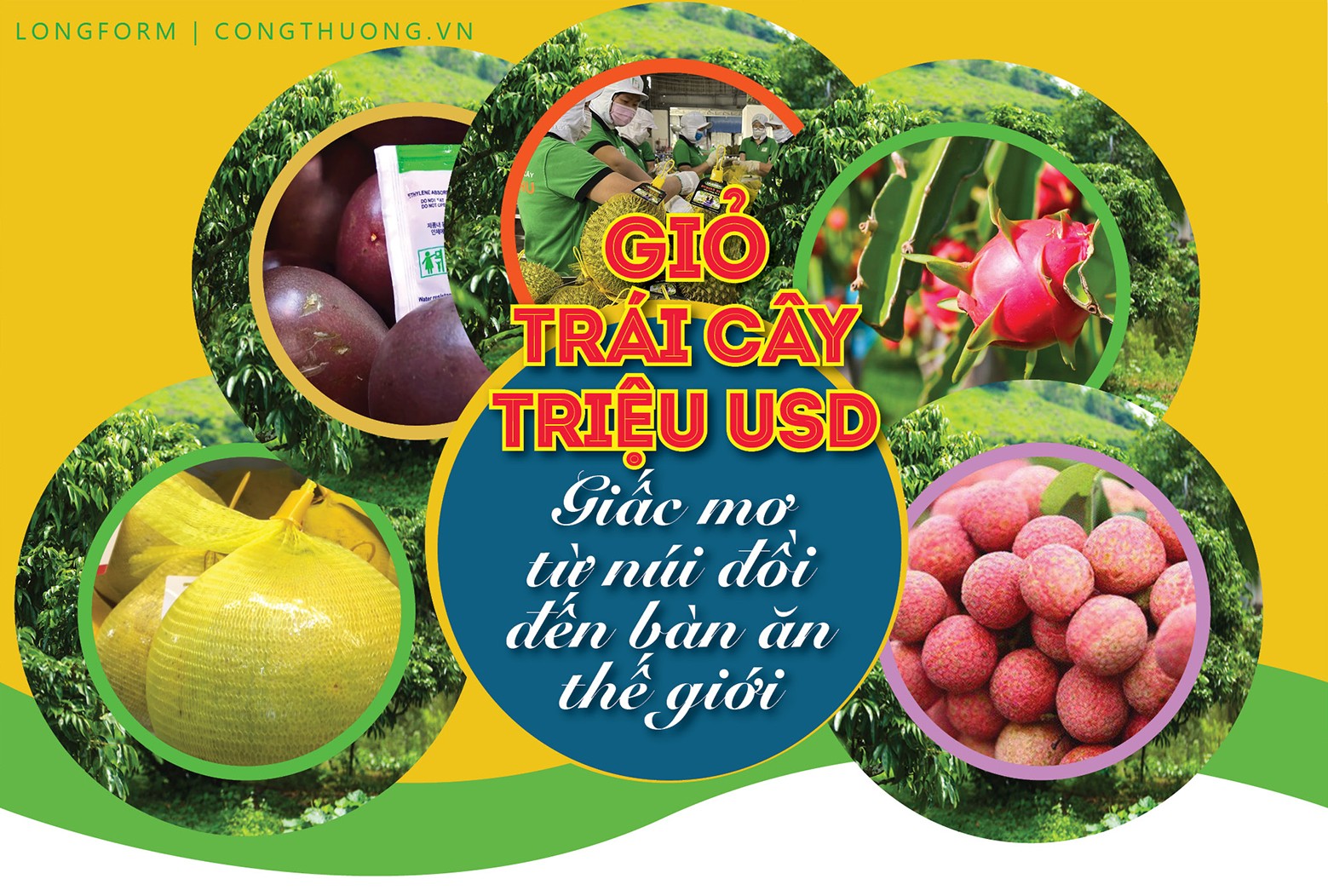 Longform | Giỏ trái cây triệu USD: Giấc mơ từ núi đồi đến bàn ăn thế giới Longform | Giỏ trái cây triệu USD: Giấc mơ từ núi đồi đến bàn ăn thế giới