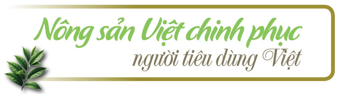 Longform | Giỏ trái cây triệu USD: Giấc mơ từ núi đồi đến bàn ăn thế giới Longform | Giỏ trái cây triệu USD: Giấc mơ từ núi đồi đến bàn ăn thế giới