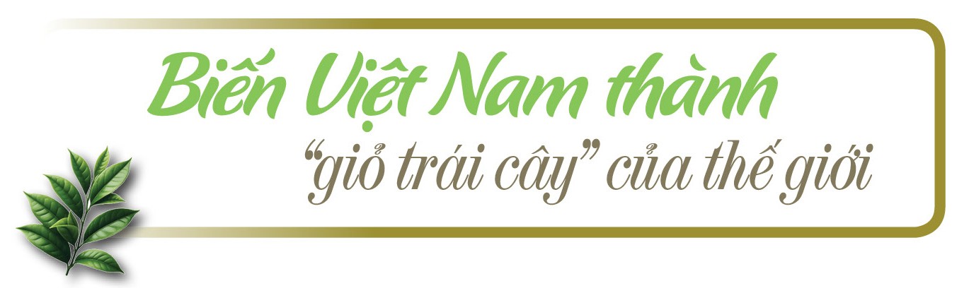 Longform | Giỏ trái cây triệu USD: Giấc mơ từ núi đồi đến bàn ăn thế giới Longform | Giỏ trái cây triệu USD: Giấc mơ từ núi đồi đến bàn ăn thế giới