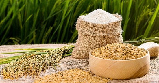 Giá lúa gạo hôm nay 1/9: Giá gạo sẽ sớm khởi sắc nhờ nhu cầu tăng