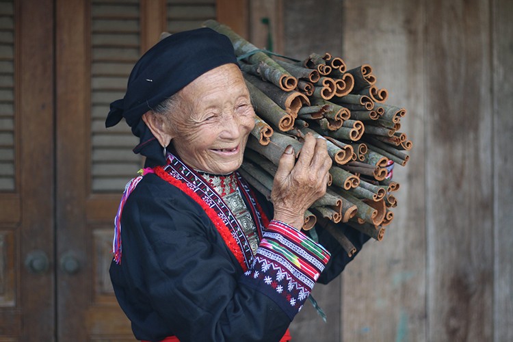Nâng cao giá trị cây quế để phát triển bền vững- Bài 3: Thay đổi từ tư duy, nhận thức