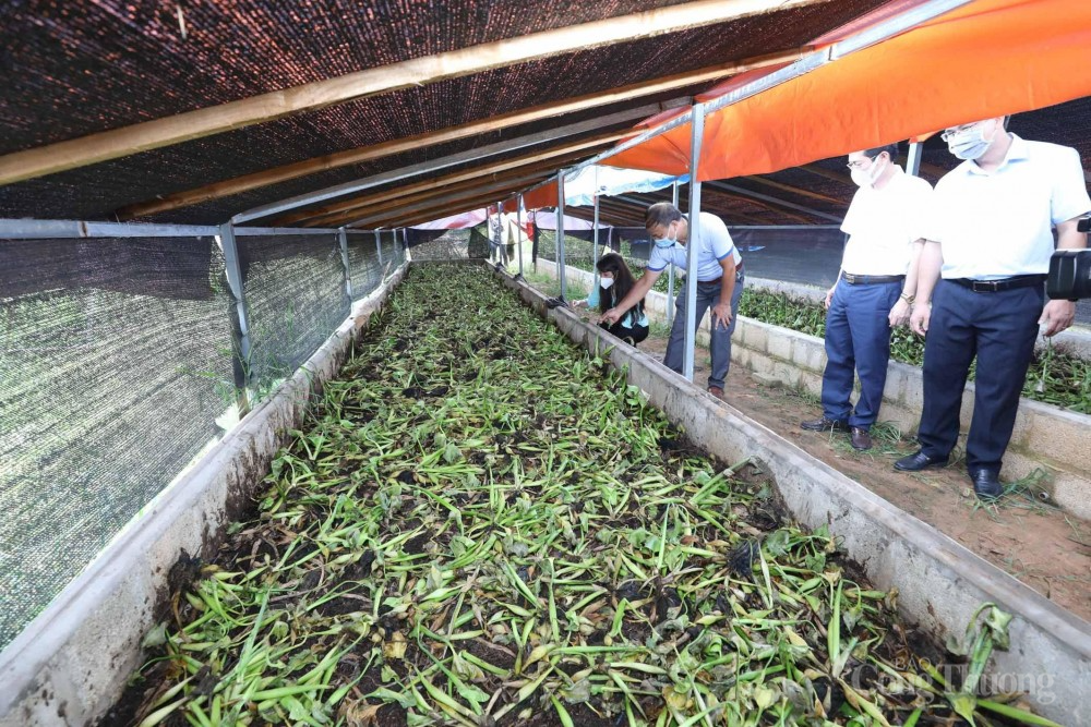 Bài 2: Đột phá vào các "điểm nghẽn"