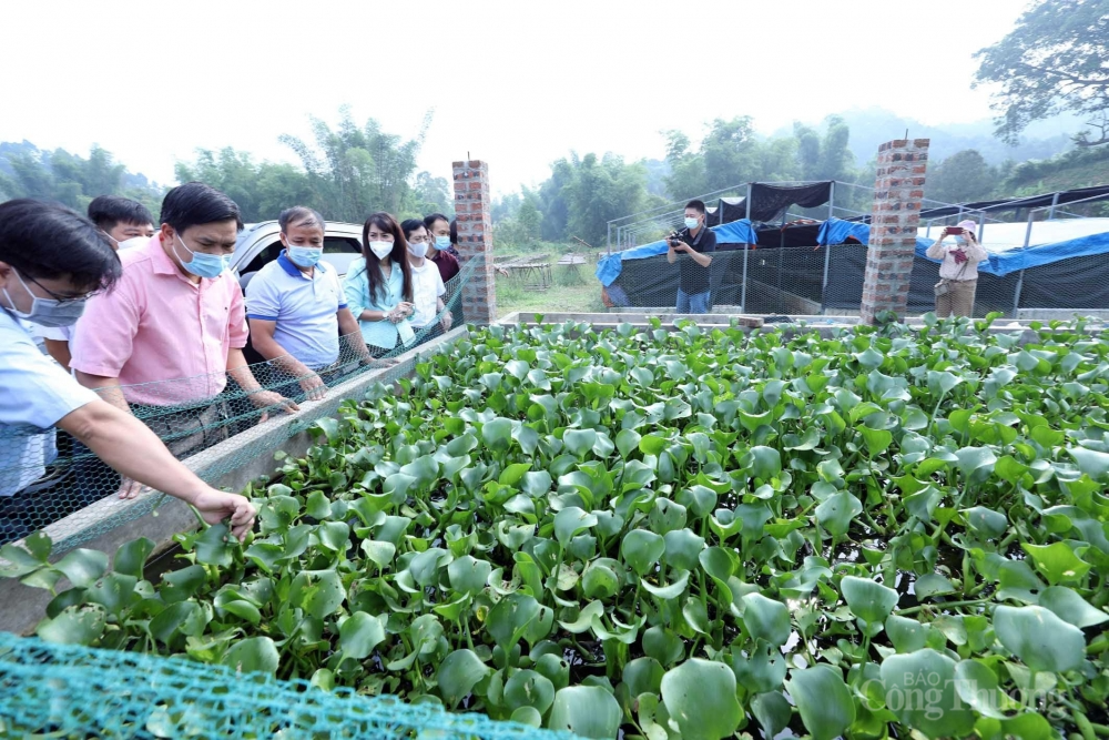 Cơ bản thực hiện đạt các mục tiêu, chỉ tiêu giảm nghèo hằng năm