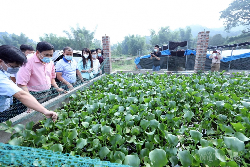 Cơ bản thực hiện đạt các mục tiêu, chỉ tiêu giảm nghèo hàng năm