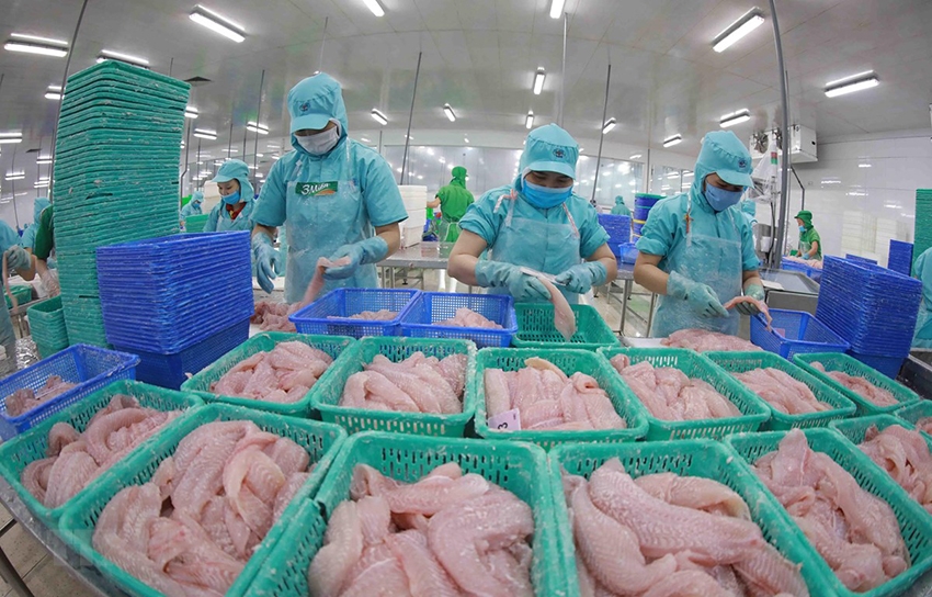 Xuất khẩu thủy sản khởi sắc nhờ FTA
