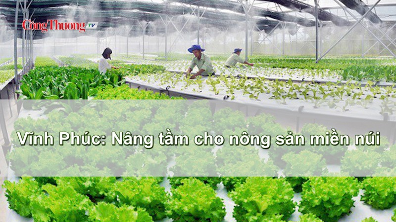 Vĩnh Phúc: Nâng tầm cho nông sản miền núi