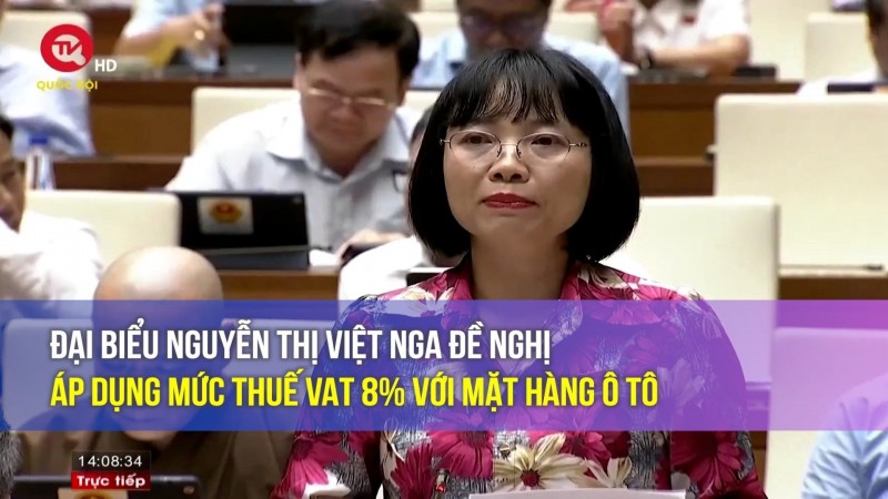 dai bieu nguyen thi viet nga de nghi ap dung muc thue vat 8 voi mat hang o to