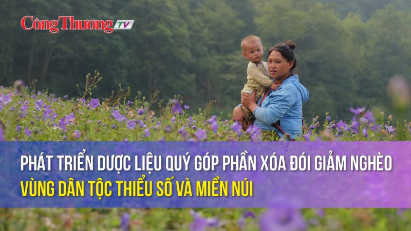 Phát triển dược liệu quý góp phần xóa đói giảm nghèo vùng dân tộc thiểu số và miền núi